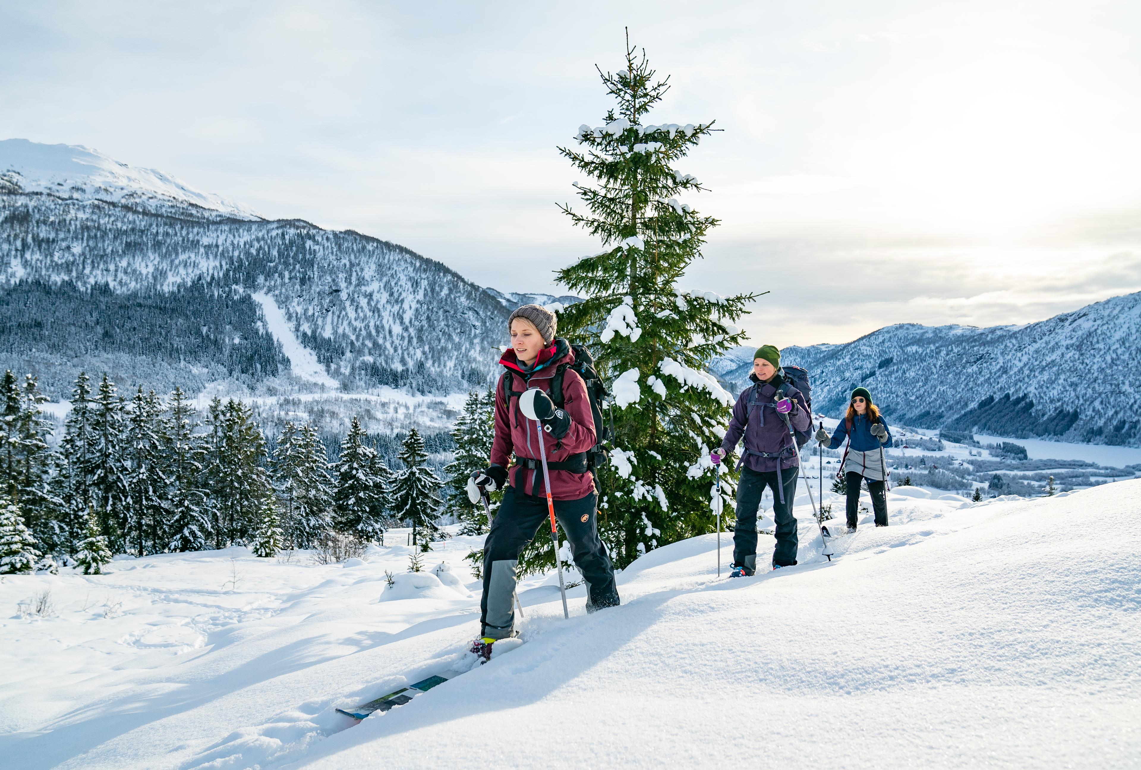 Tre venner går på fjellski gjennom skog og over fjell en vakker vinterdag.