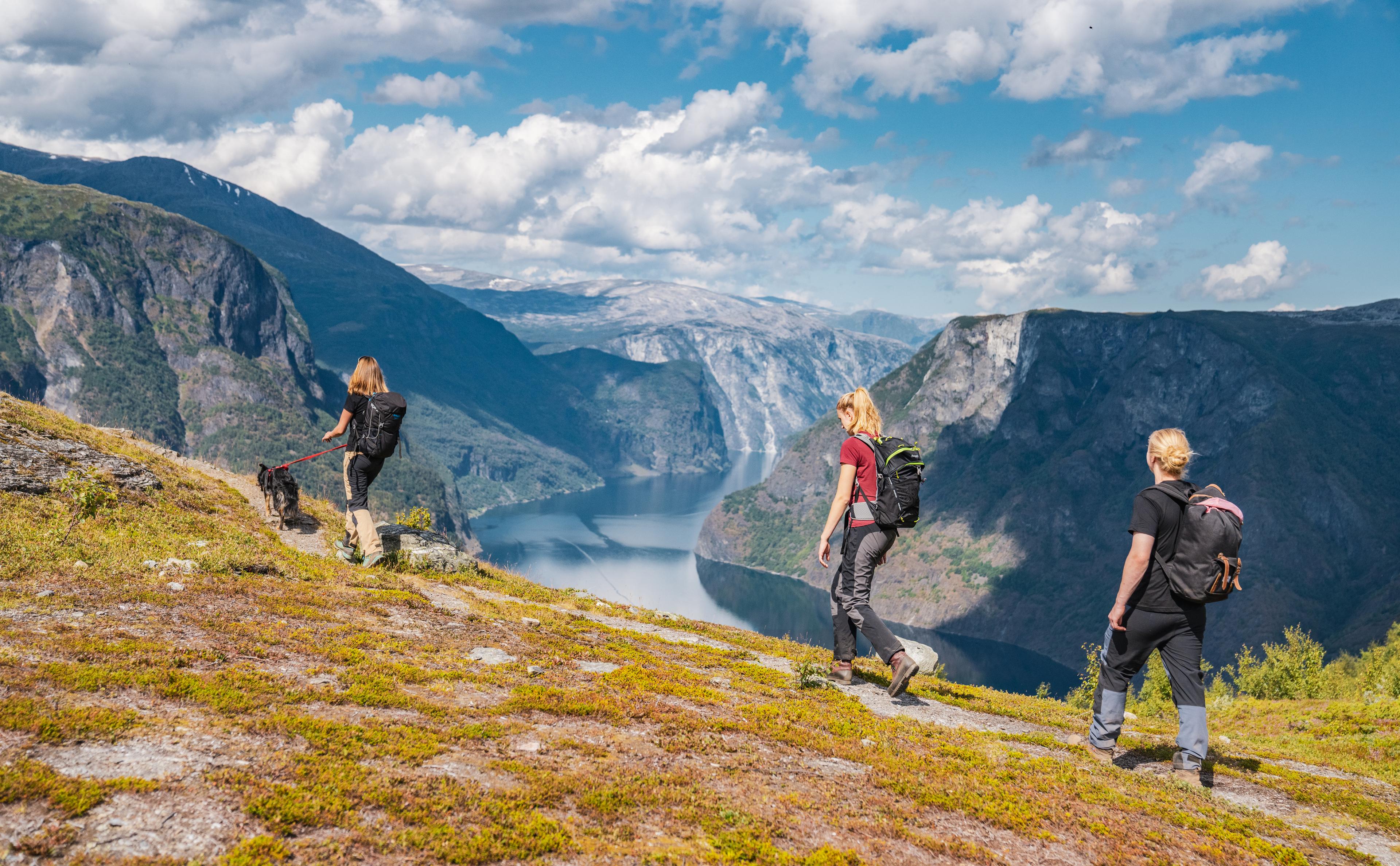 A walking party with a dog has a magnificent view of the Aurlandsfjord from the hiking trail.