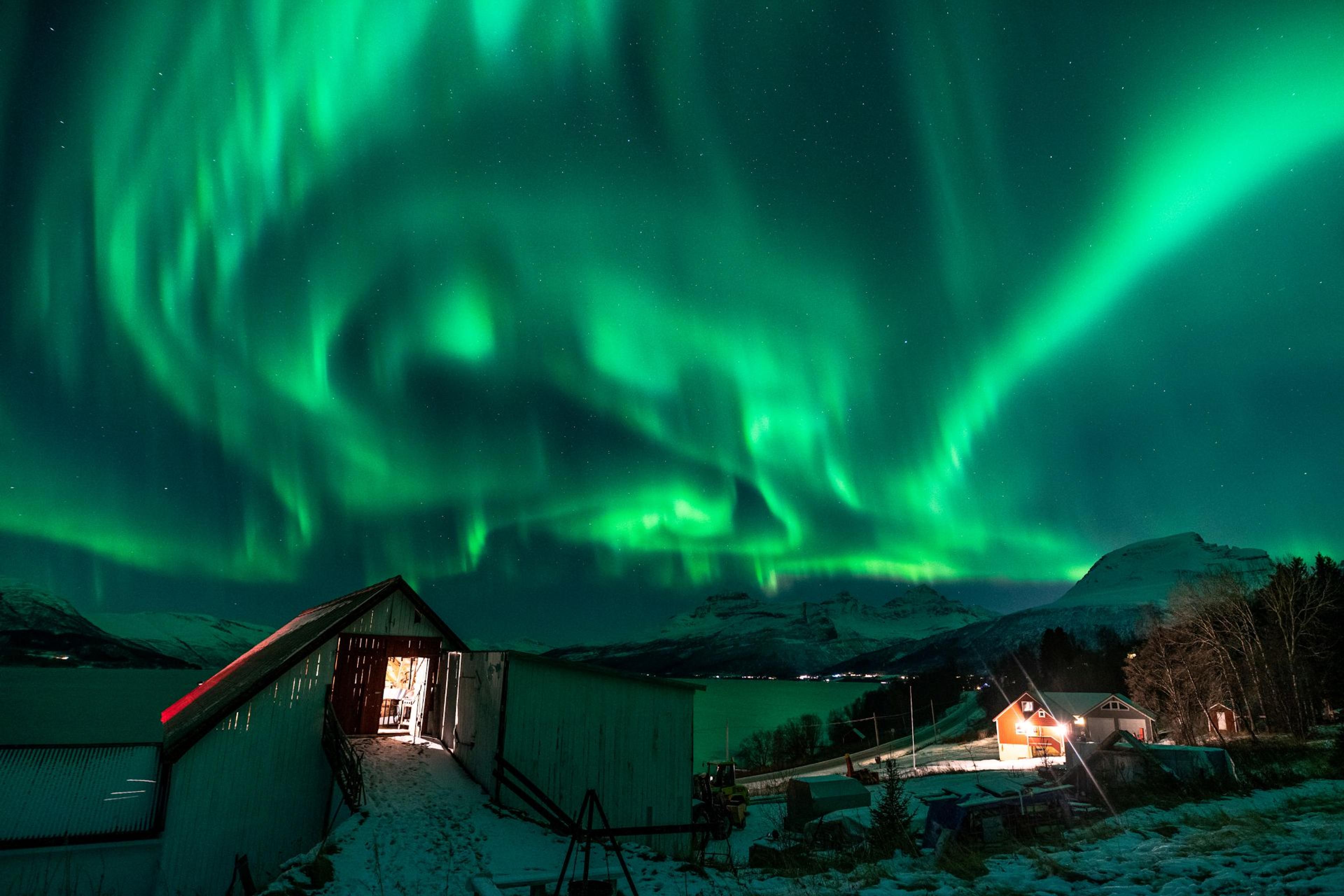 Intense green Northern Lights over snow-covered houses and mountains in the Narvik region.