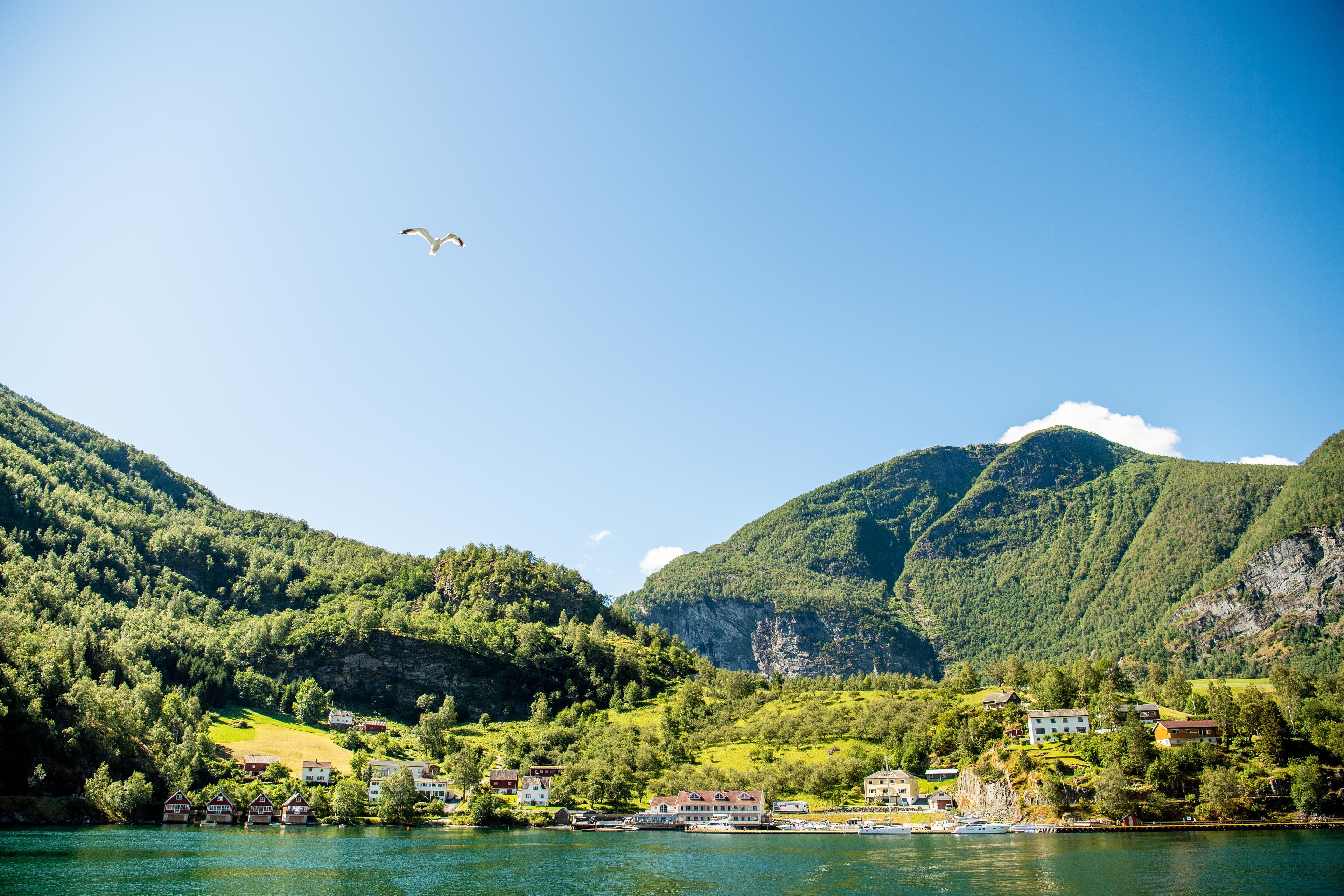 Flåm Ægir