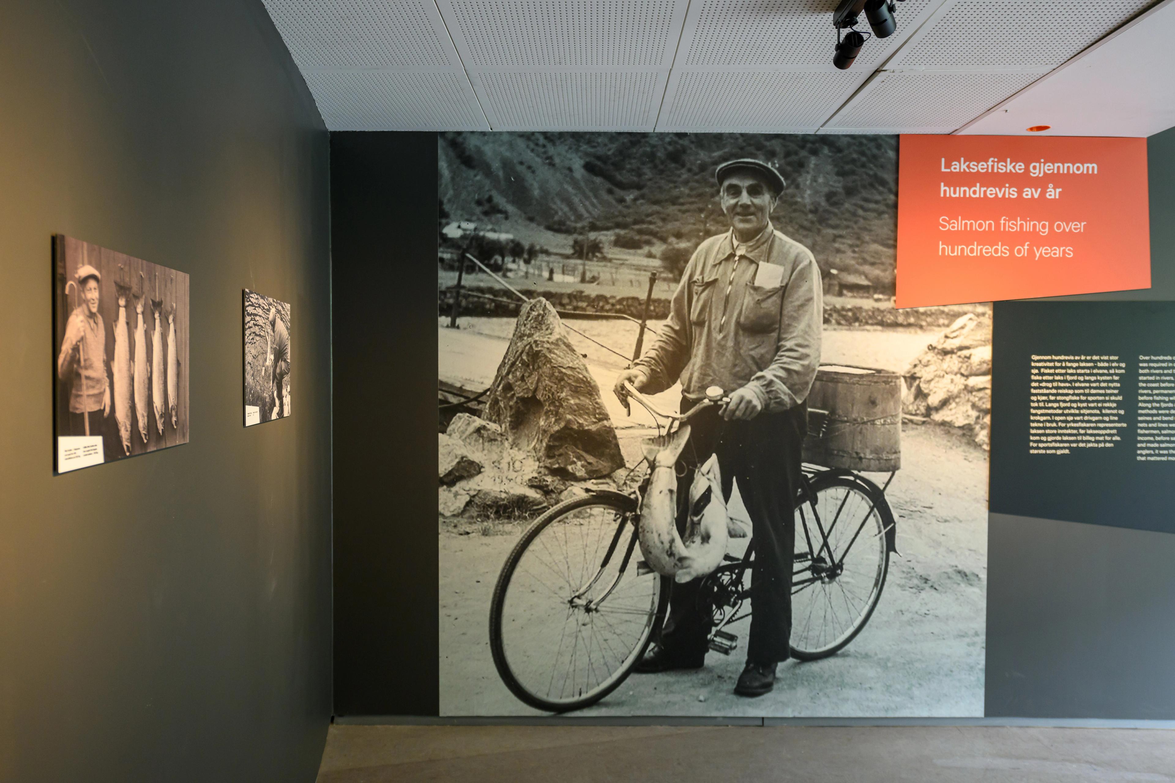 Un pescador local en bicicleta con un gran salmón atado al manillar