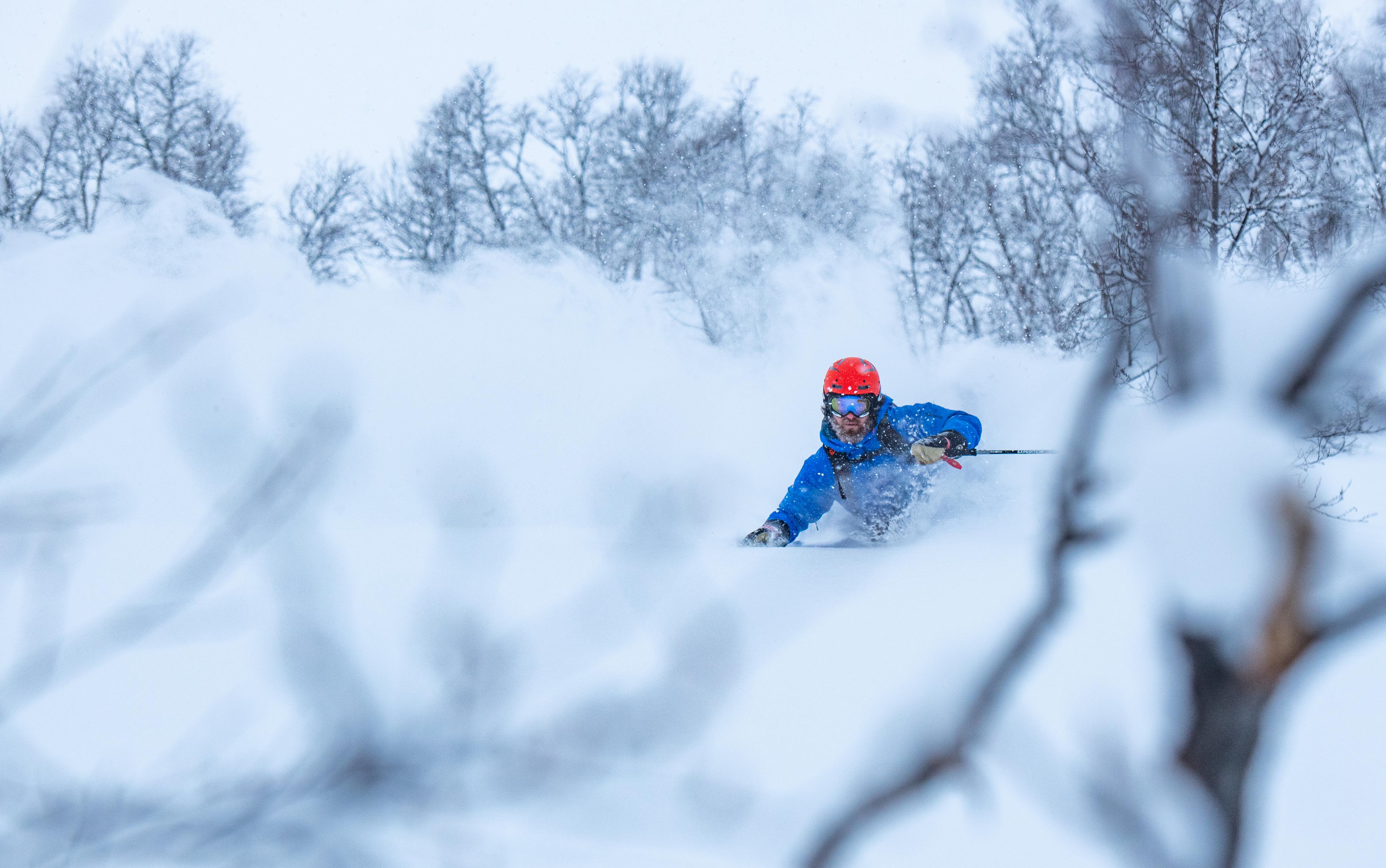 Skikjører skimtes i snøen mellom trærne.