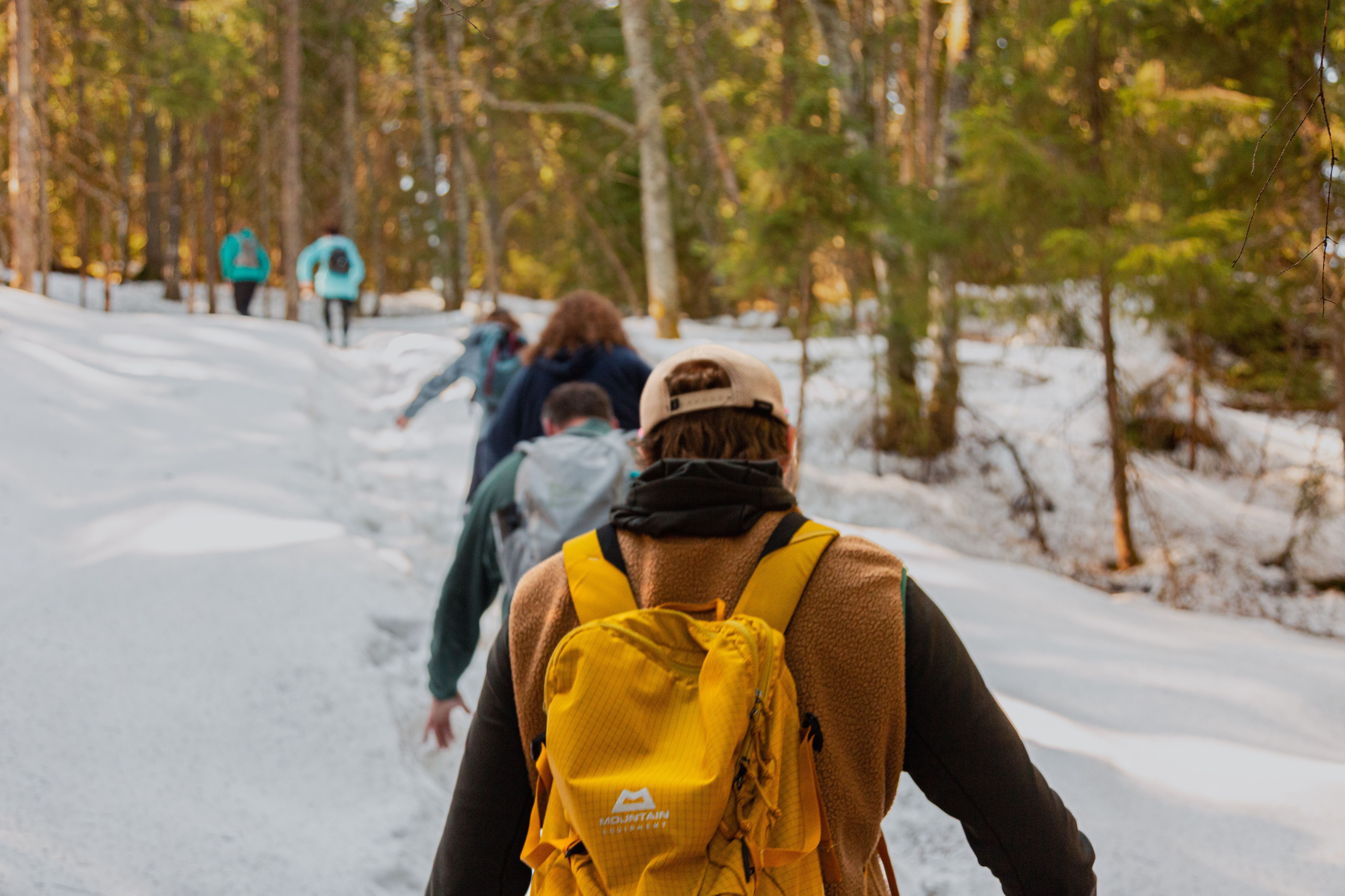 En gruppe mennesker som går i skogen om vinteren