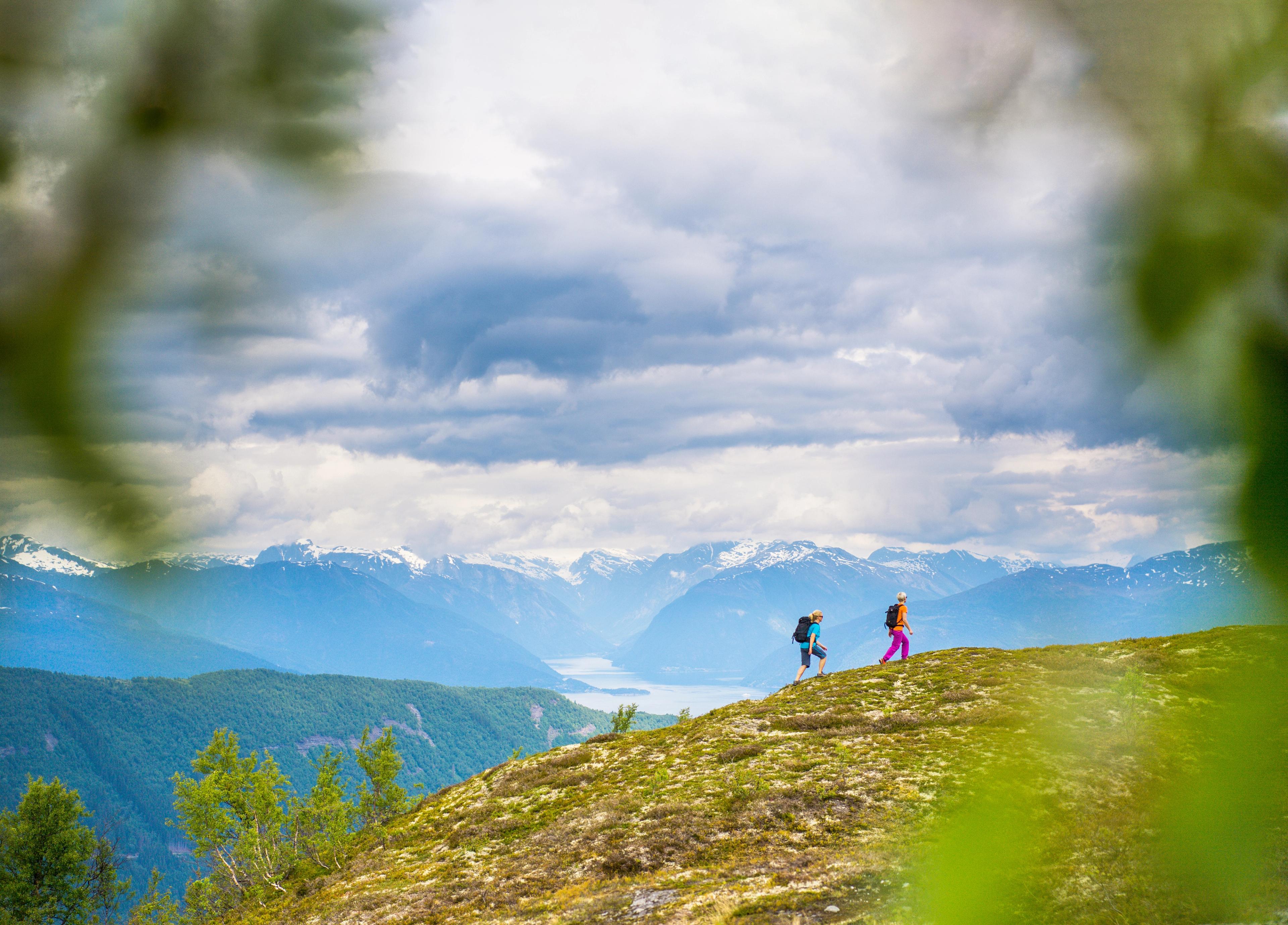 Turgåere på en åsrygg sett gjennom grønne blader. Sognefjorden og snødekte topper i bakgrunnen.