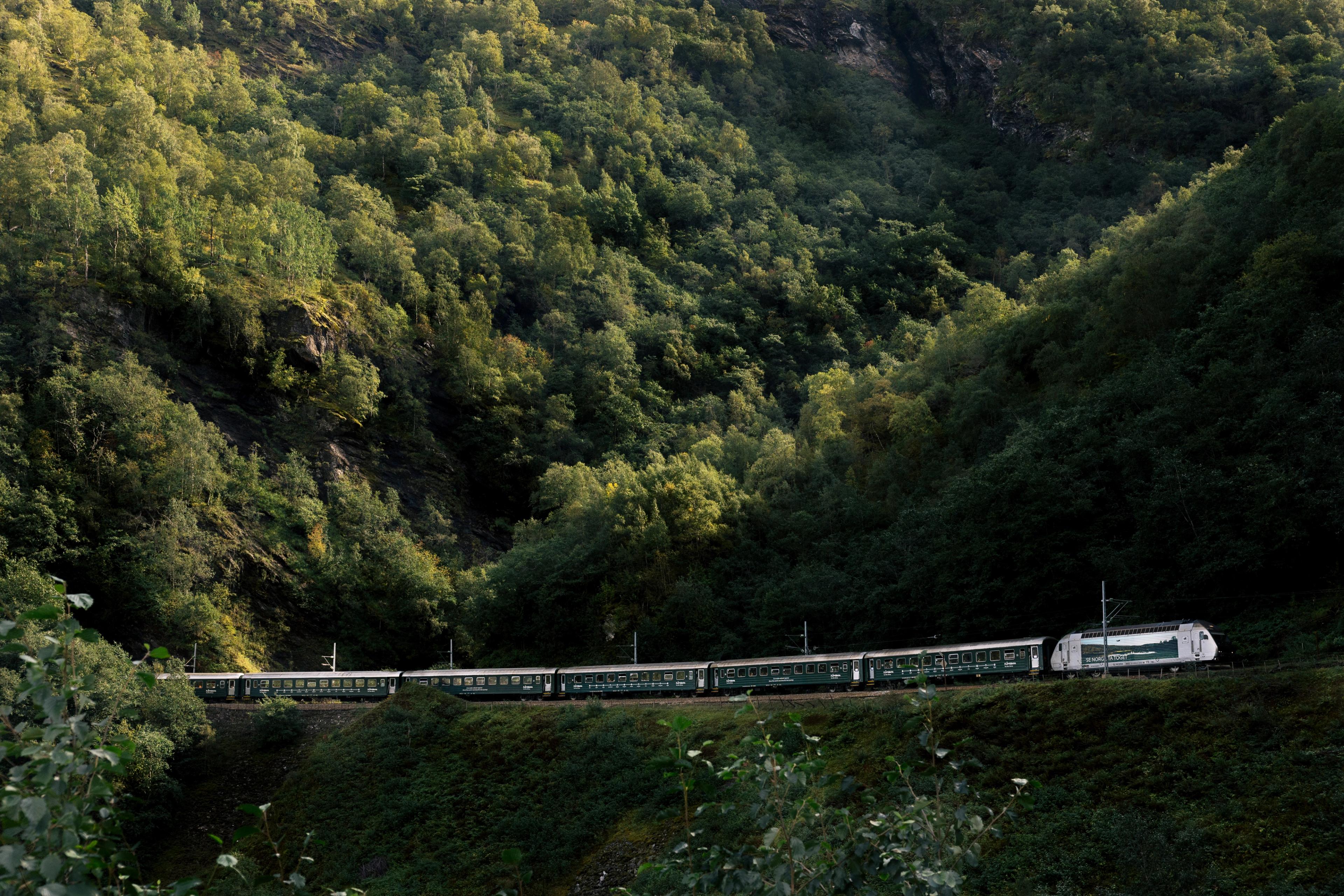 Et tog på Flåmsbana langs grønn, skogkledd fjellside.