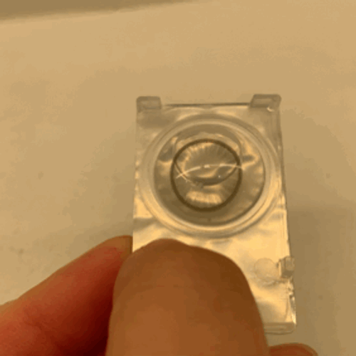 Lim So-young (임소영) look 4