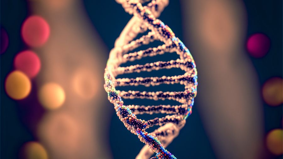 Why 12% MPC Material Makes NEOiSM Safer for Your Eyes