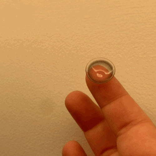 Lim So-young (임소영) look 4