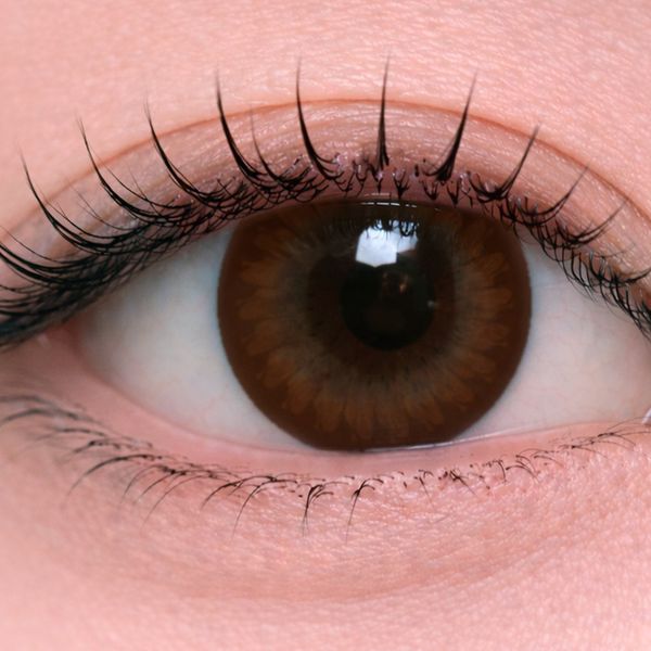 D024 Brown view 3