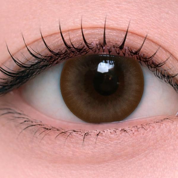 D014 Brown view 3