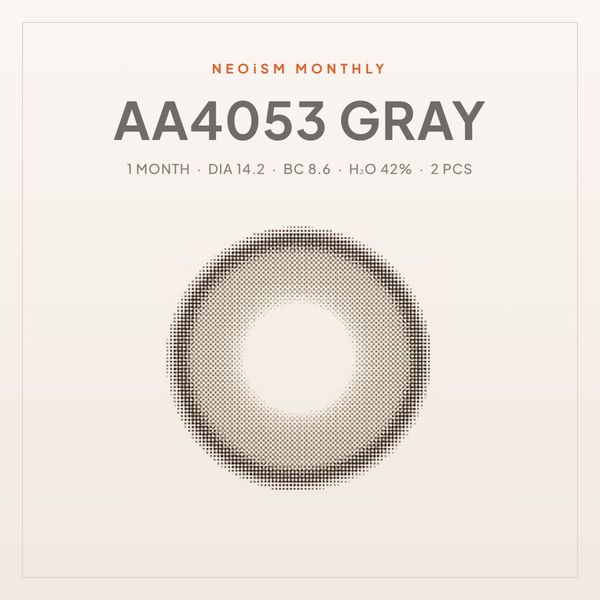 AA4053 Gray view 2