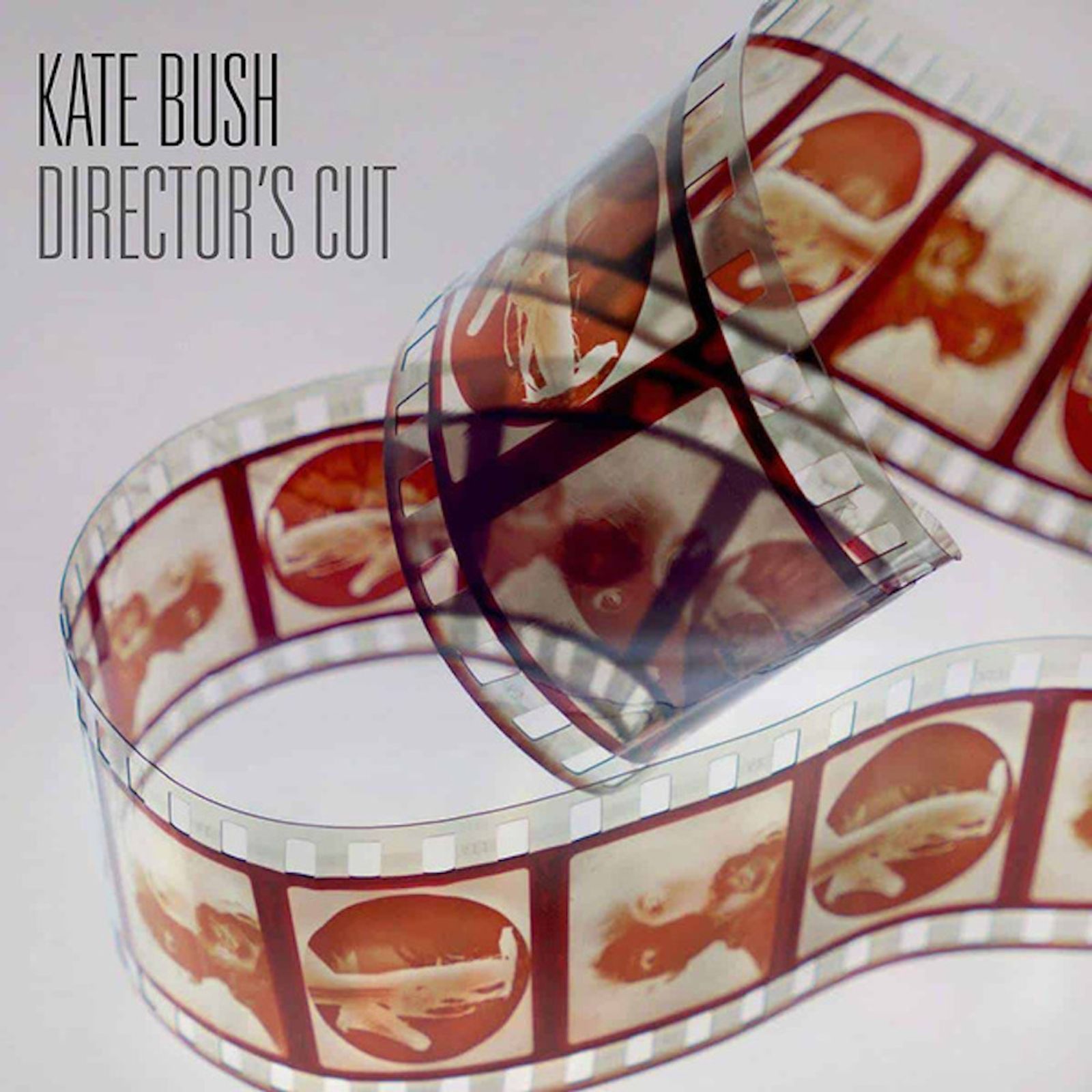 Album cover for Kate Bush’s Director’s Cut (2011), on which Stephen W Tayler mixed eight tracks and recorded guest musicians.