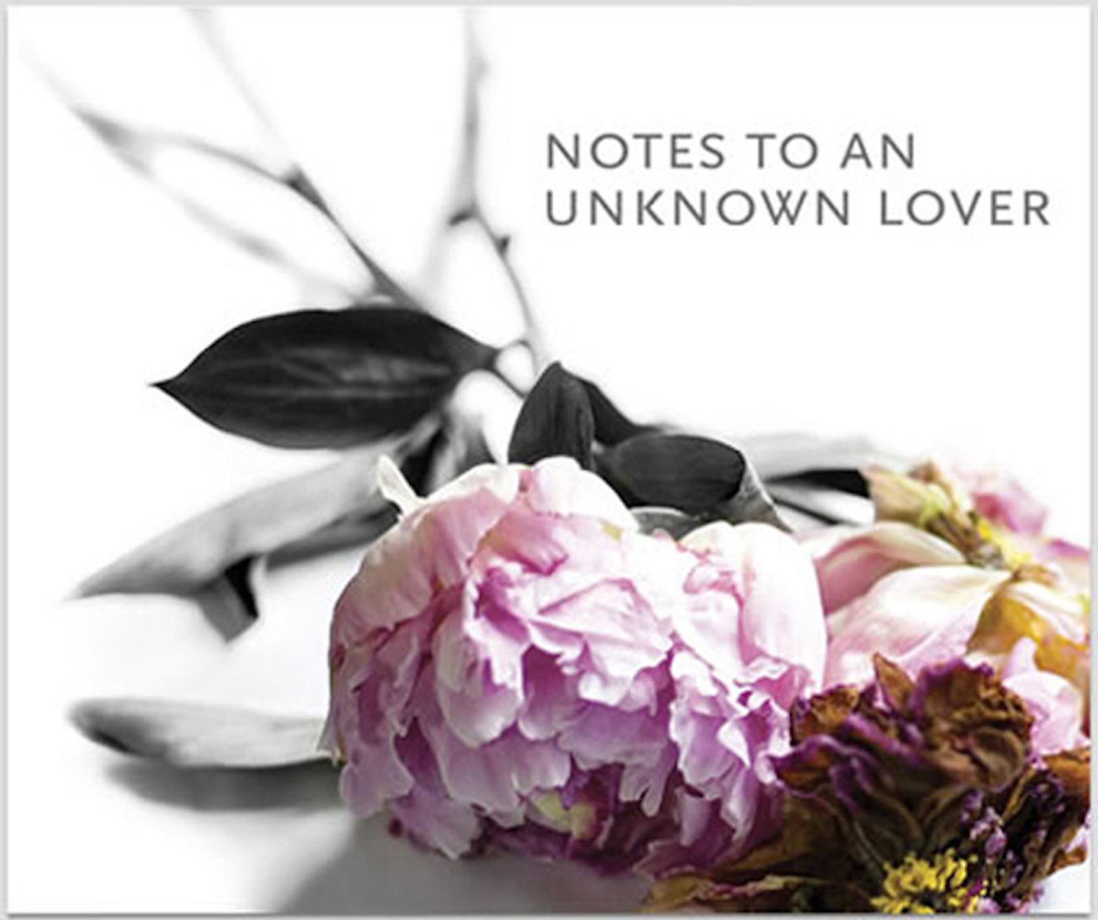 Cover of Notes To An Unknown Lover (2013), an artist monograph by Sadia Sadia, published by Bybrook Press in a limited first edition. ISBN 978-0-9576485-0-0.