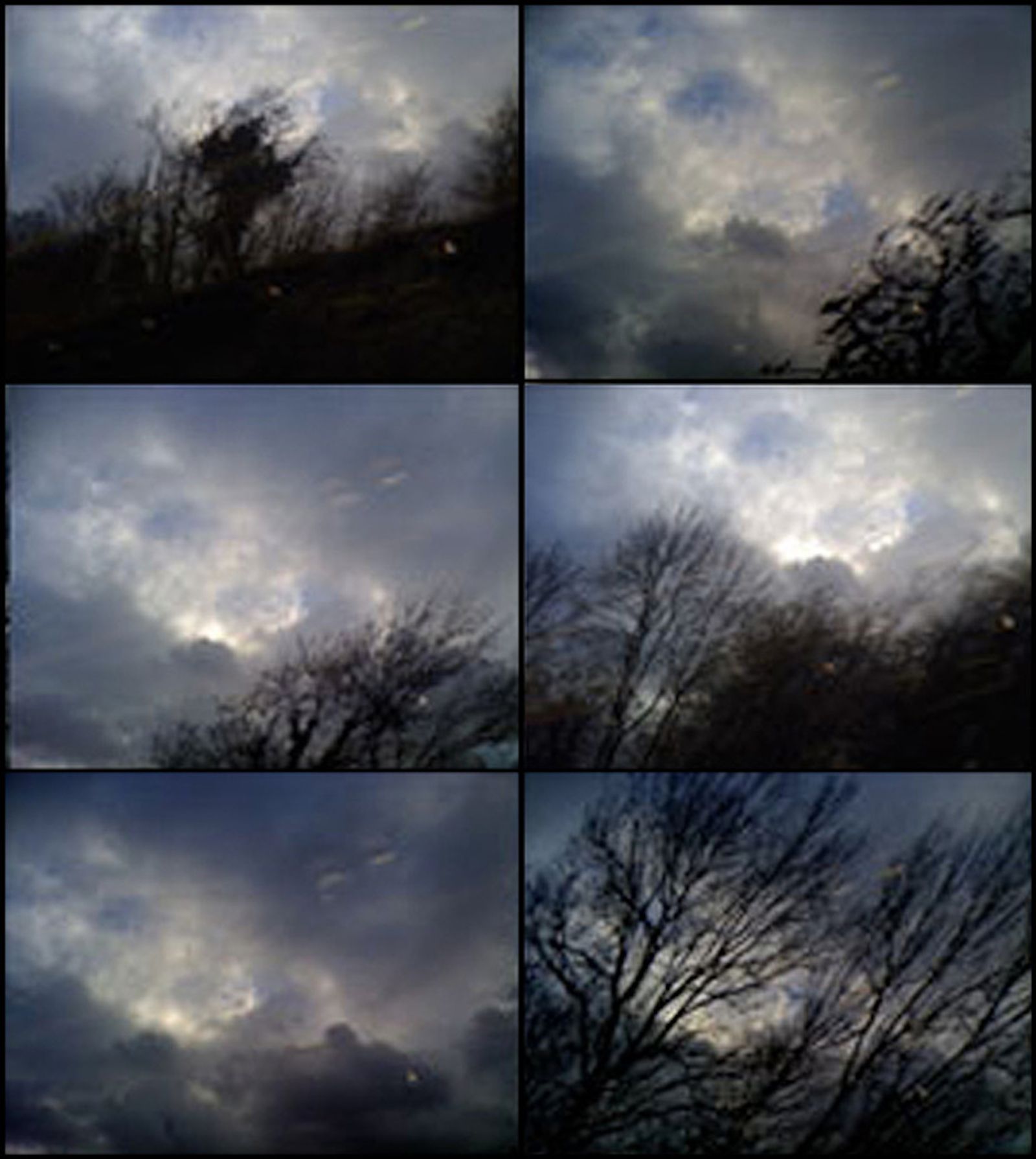 Artwork by Sadia Sadia, 2010, comprising six images of a clouded sky and trees seen through rain-streaked glass.