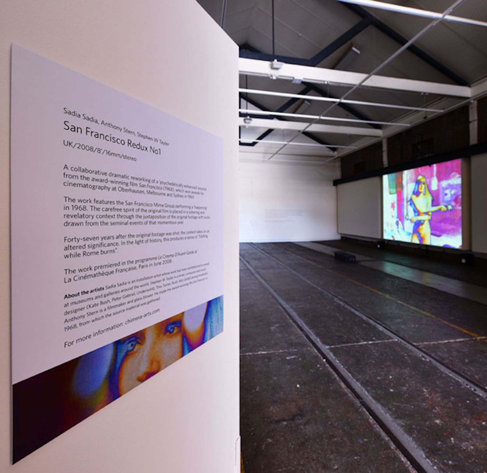 Installation view of San Francisco Redux No. 1 by Anthony Stern, Sadia Sadia and Stephen W Tayler at QVMAG, Launceston, Tasmania, 2015.