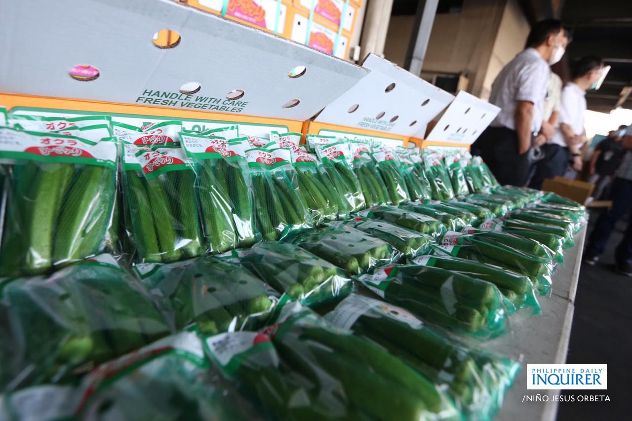 Export of okra to Korea part of growing market for PH produce