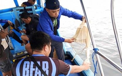 Red tide warning remains on 2 EV bays