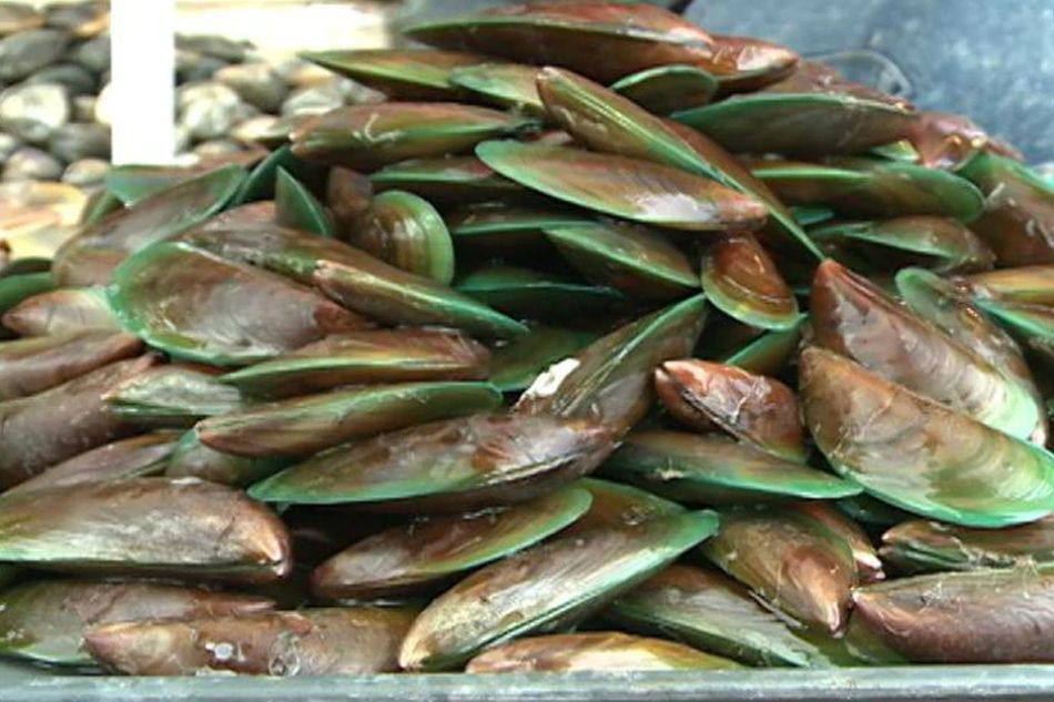 Matarinao Bay tests positive for red tide