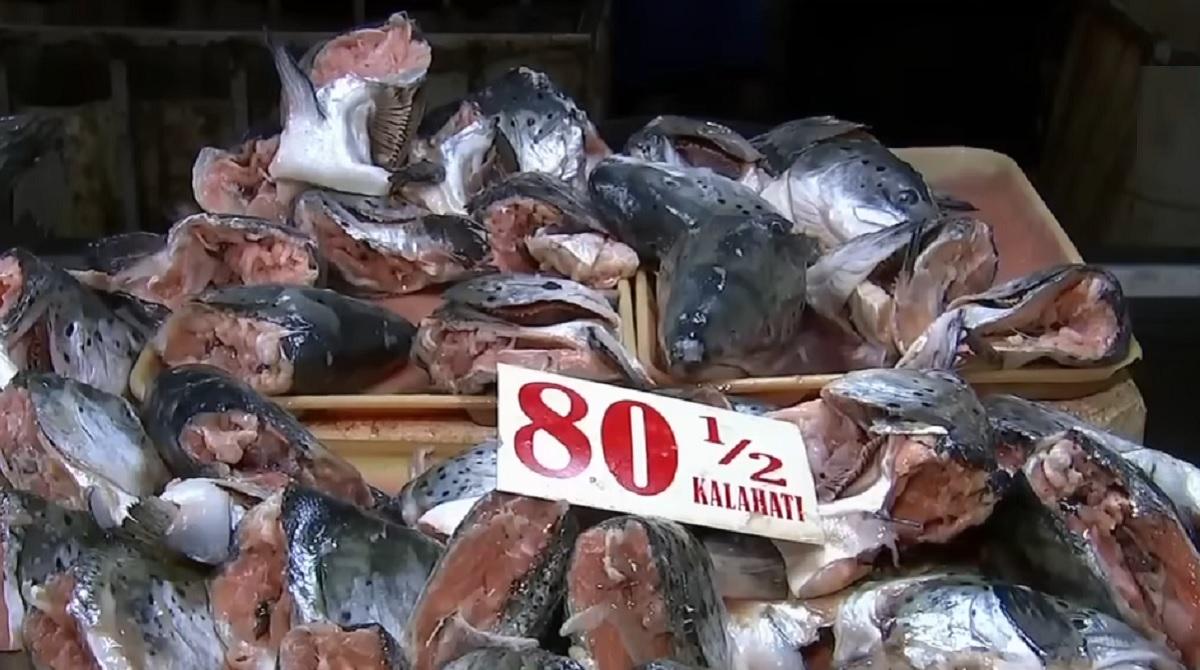 BFAR to review rules on imported fish
