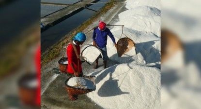 New salt industry dev’t law to boost local production, jobs