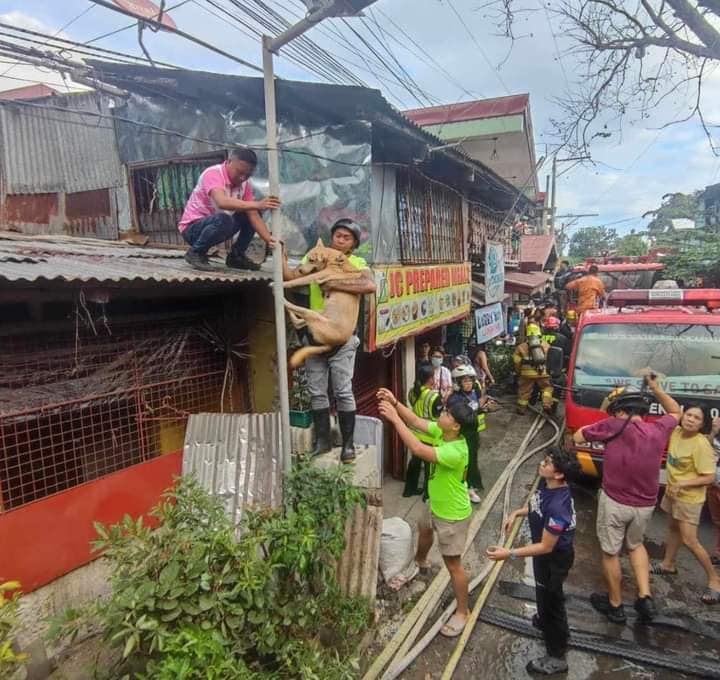  BOARDING HOUSES BURNED
