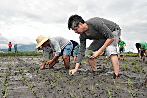 Pangilinan renews call for farmer support