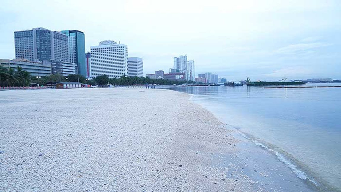 Significant improvements noted in water quality of Manila Bay