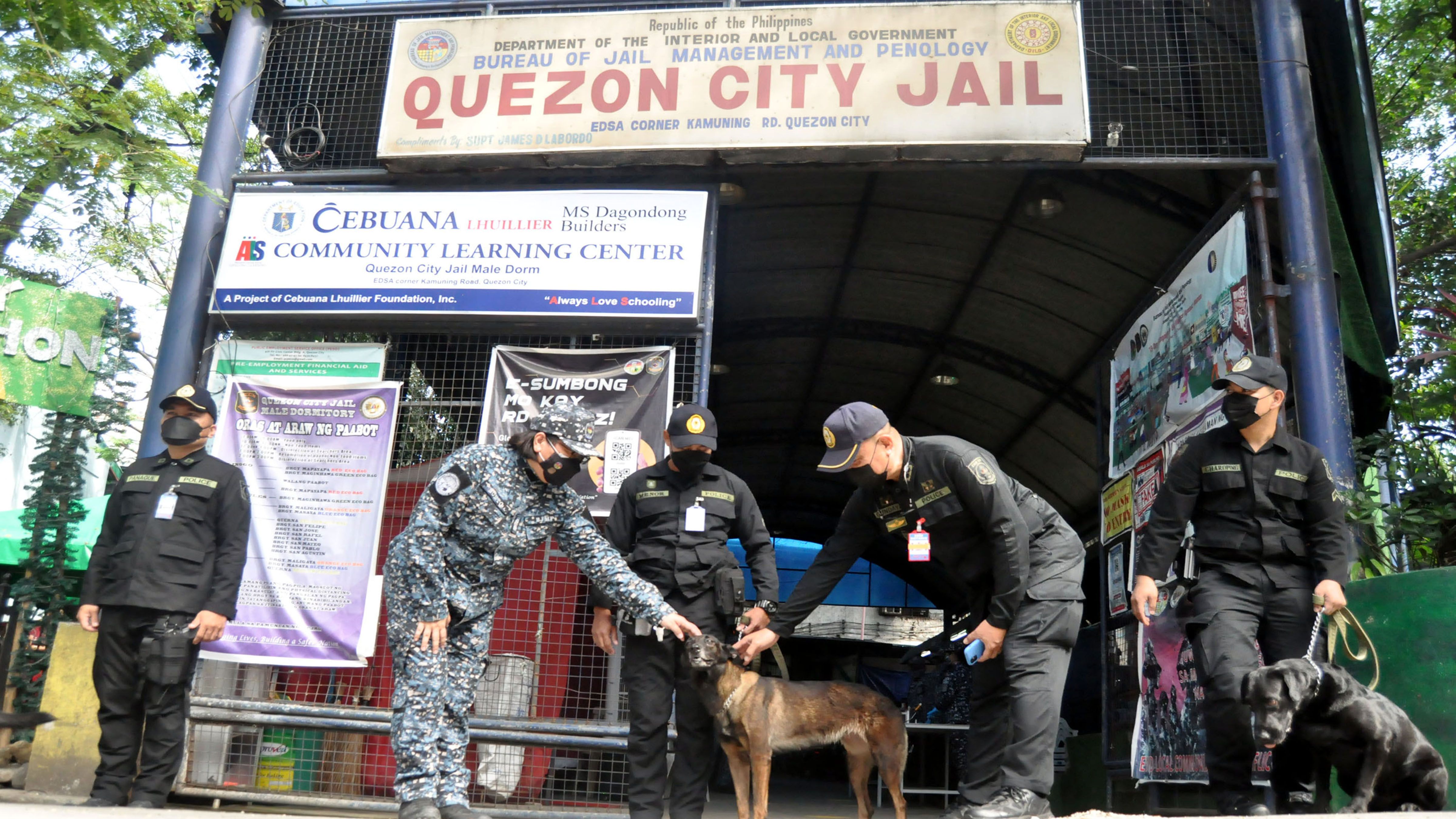 Qc Jail Inmate Listing - 1njt19x