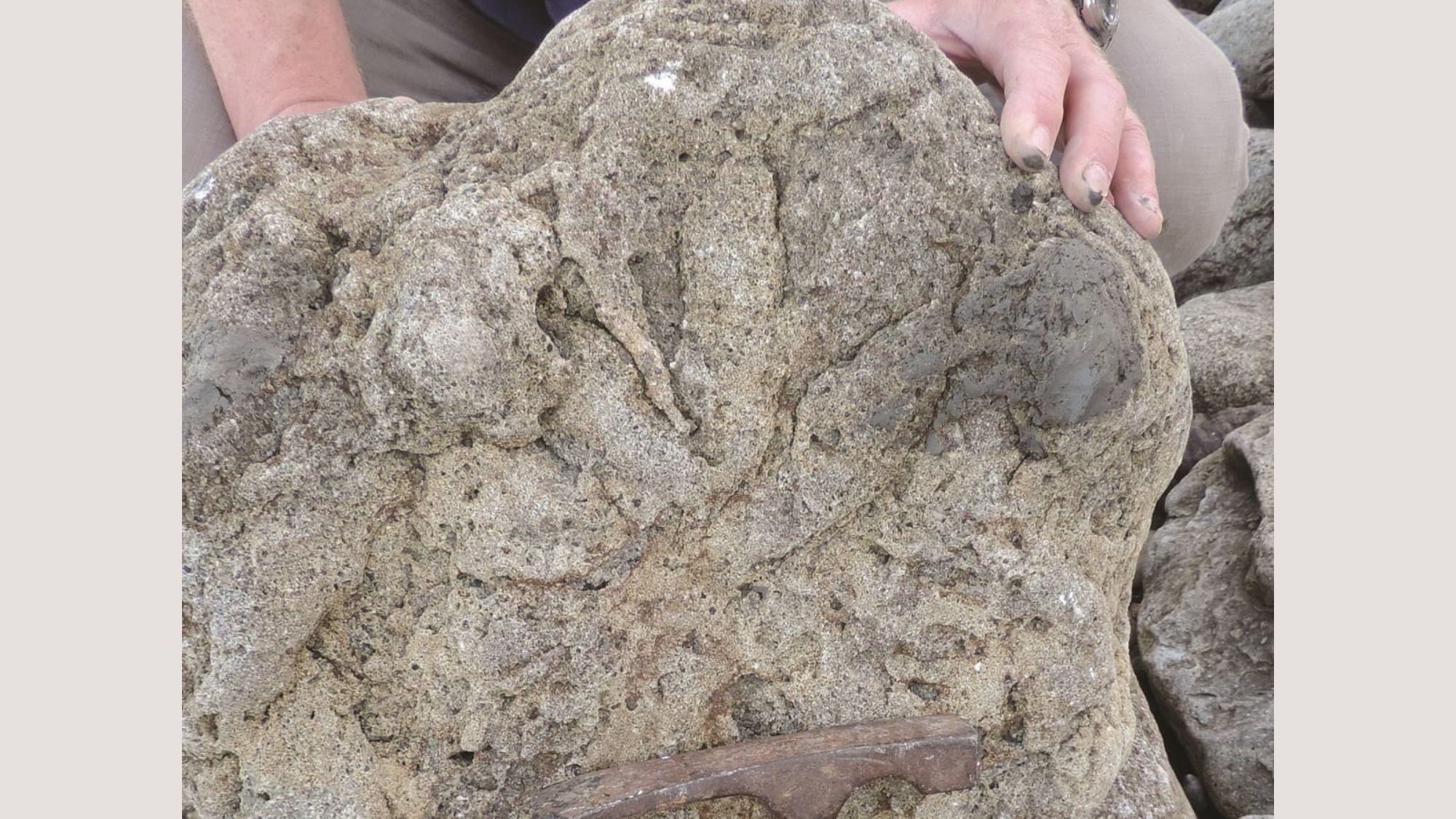 Footprints of last dinos that walked on earth found in U.K.