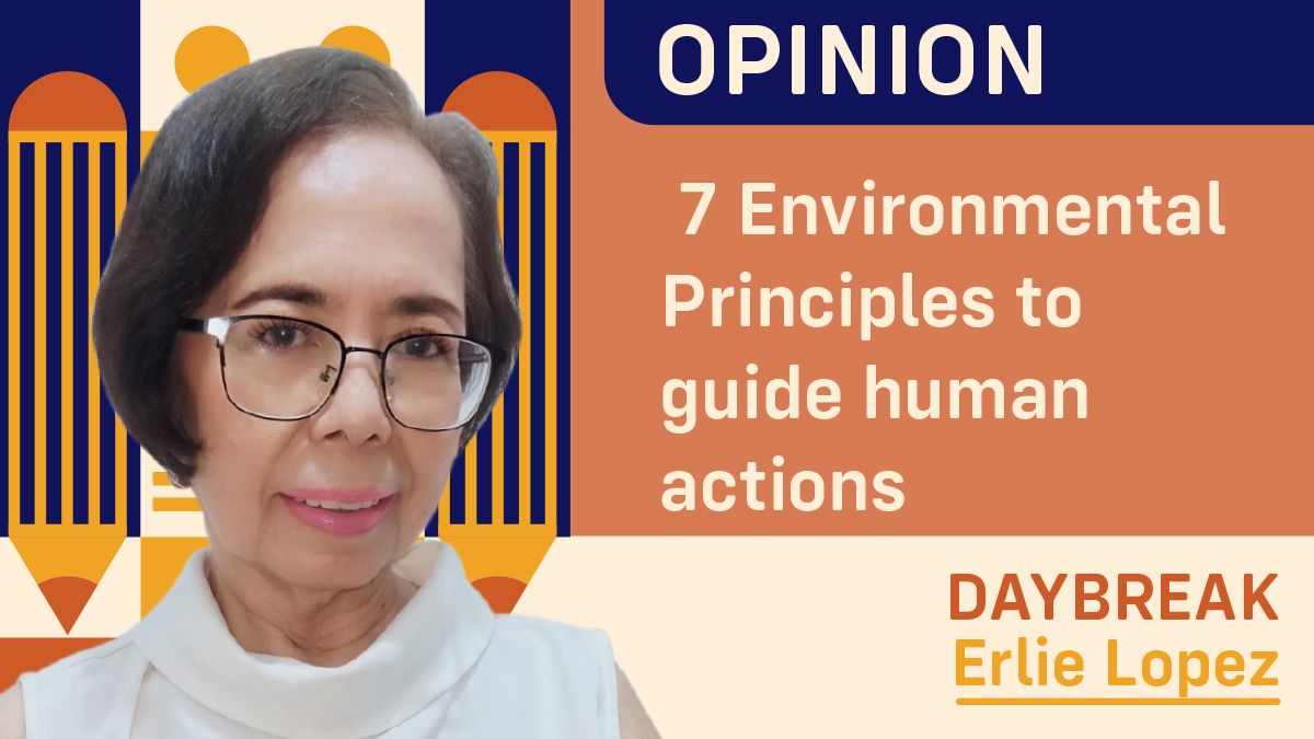 7 Environmental Principles to guide human actions 