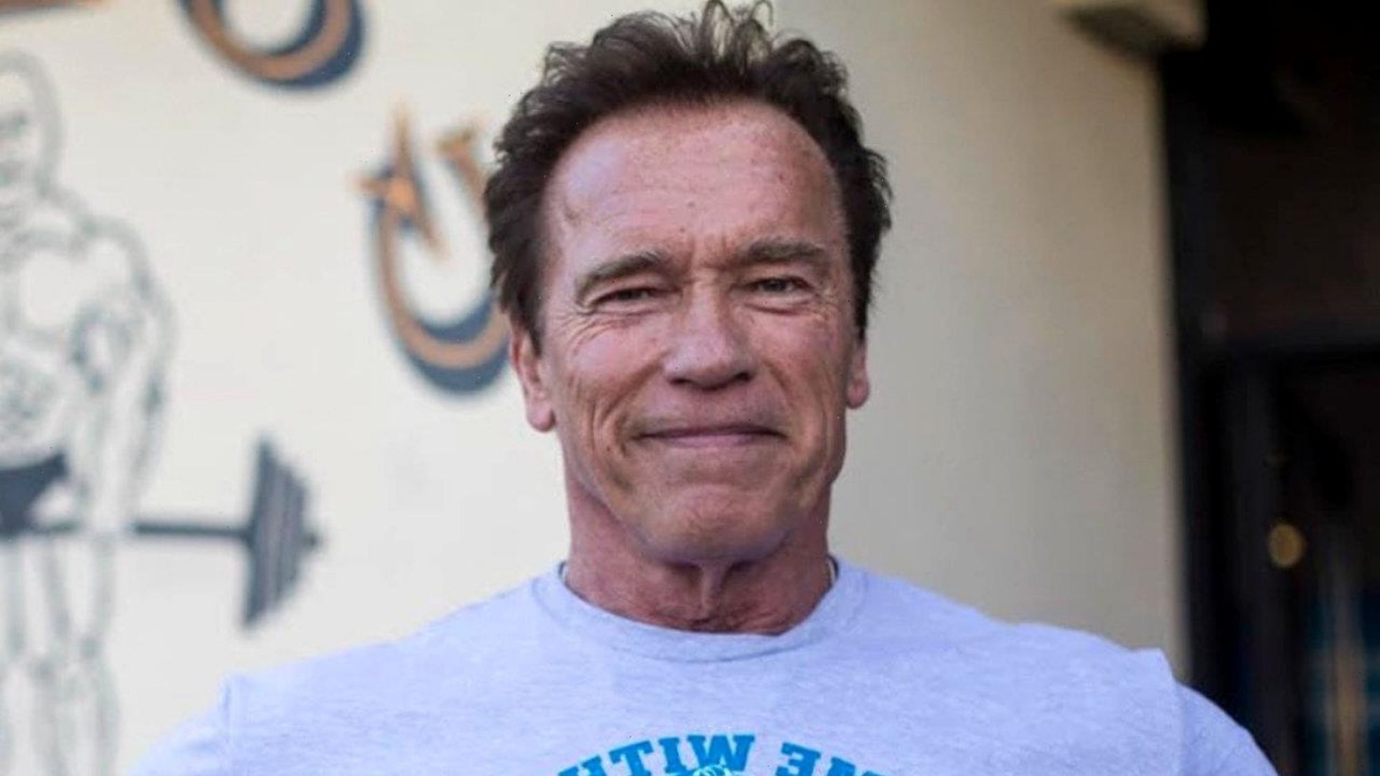 Arnold Schwarzenegger’s kids hated his job as politician