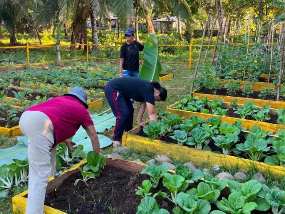SMC supports Albuera’s farmers