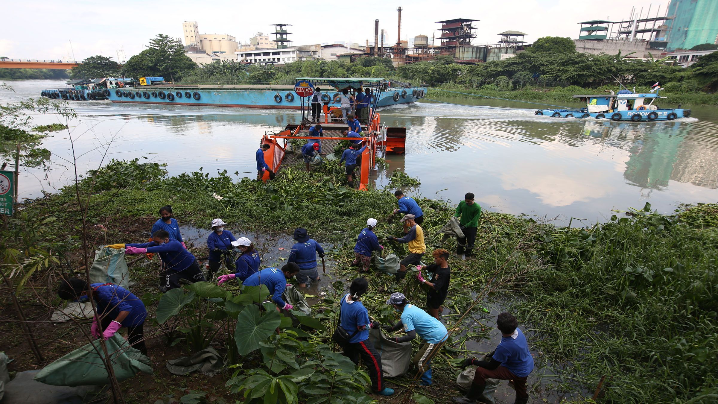 REMOVING WATER LILIES FROM PASIG RIVER Danny Querubin