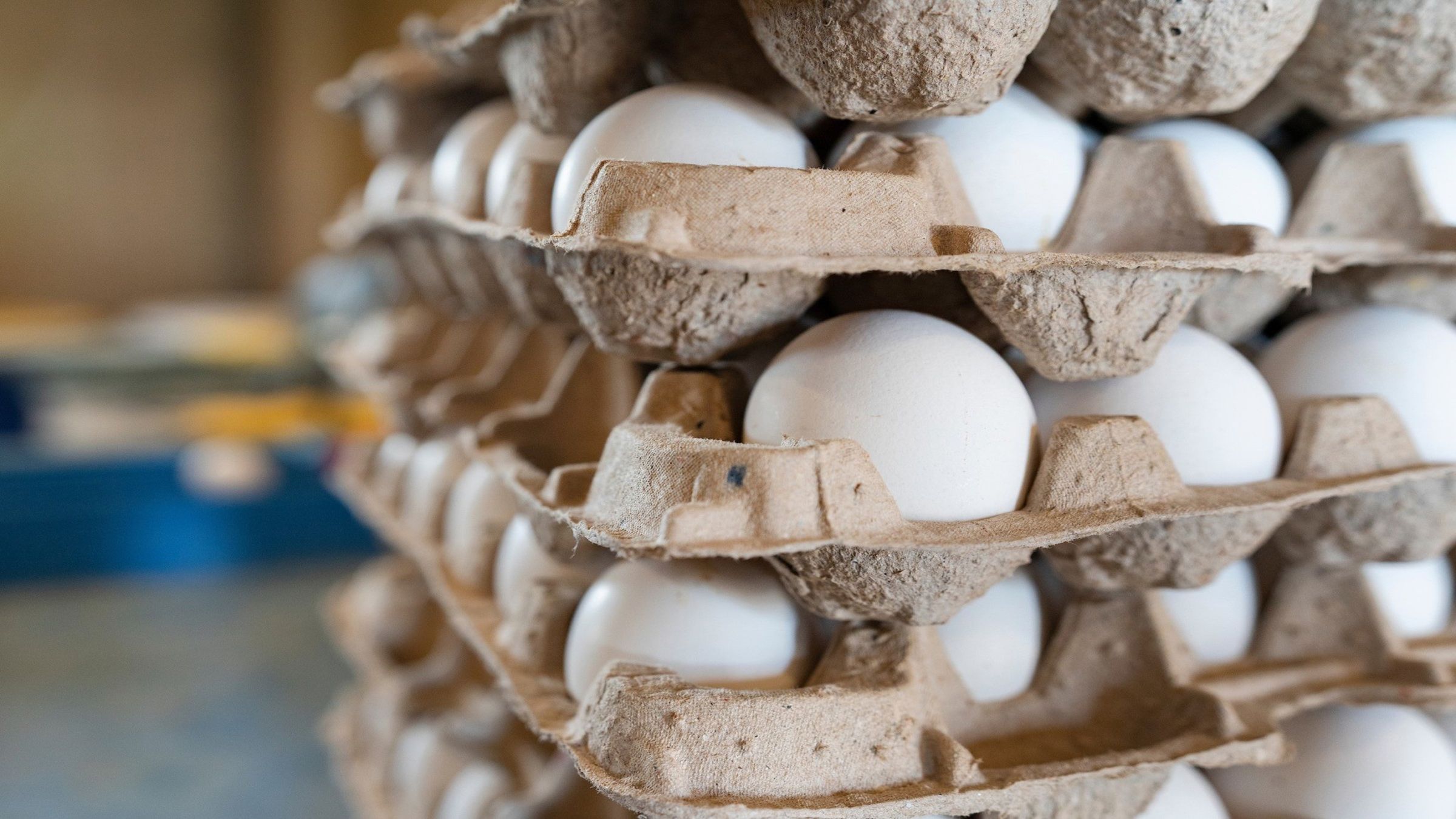 Another round of price hikes for eggs