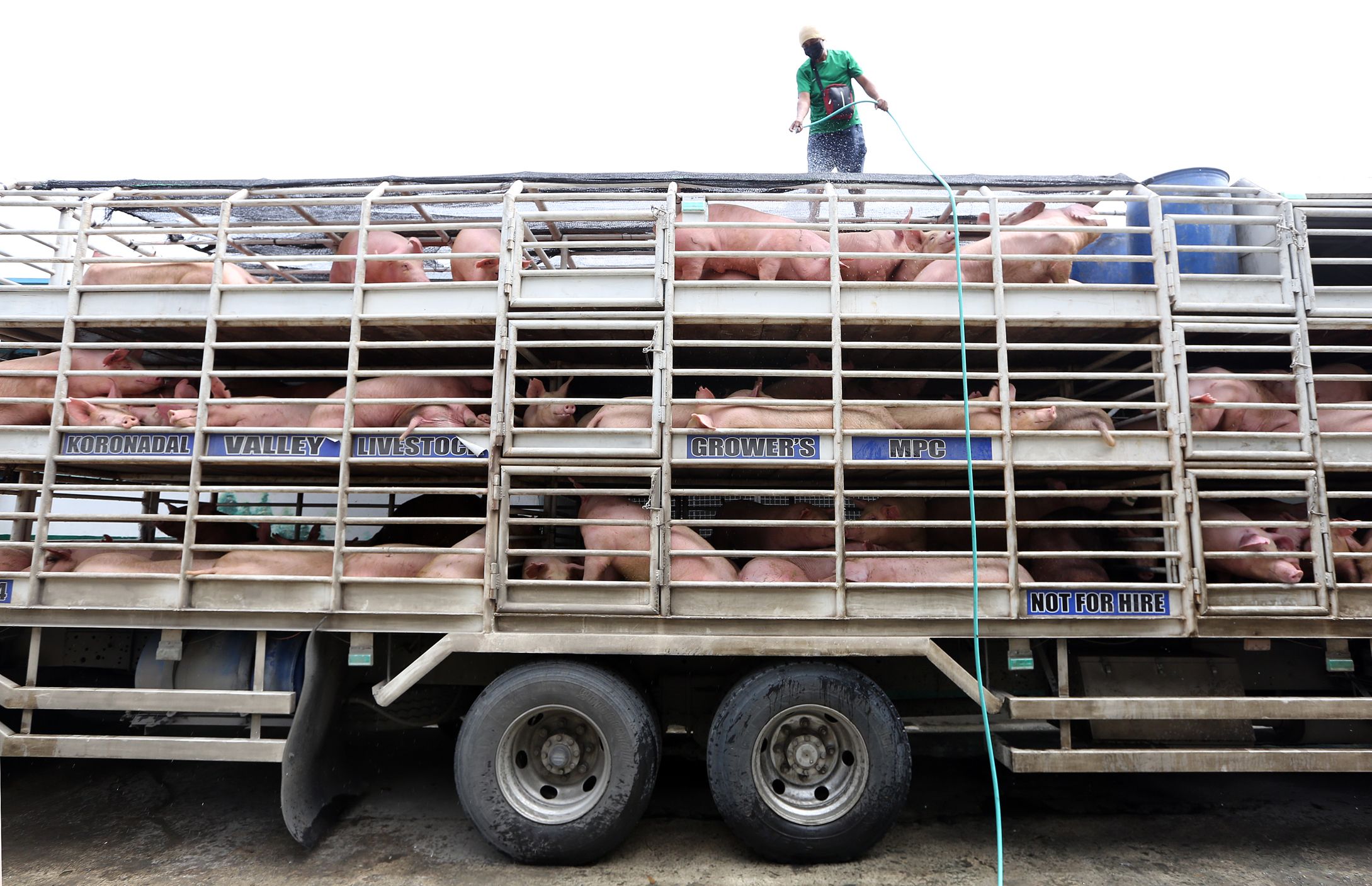 Lacson exposes P6-B kickback in pork importation proposal