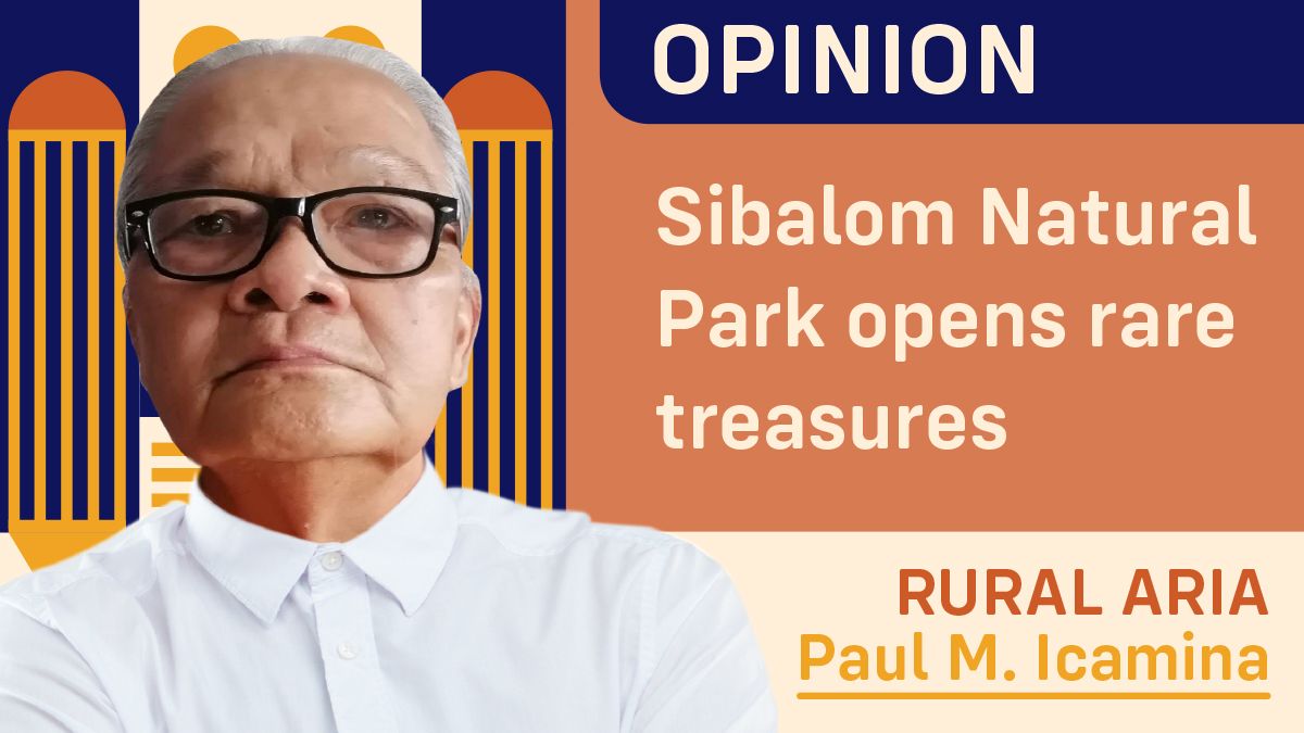 Sibalom Natural Park opens rare treasures