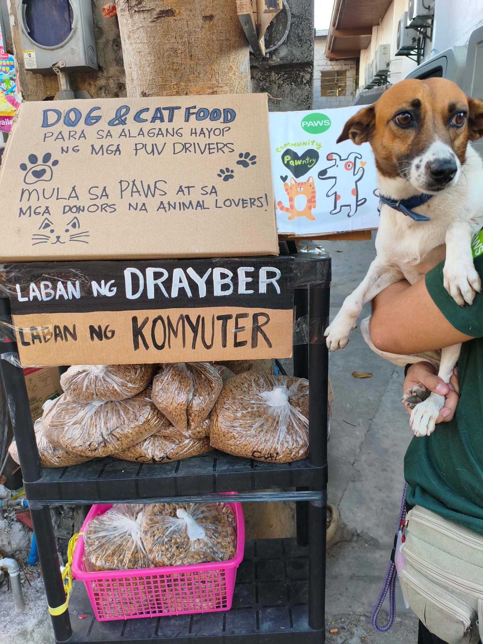 No worries for fur parents  with 'Community PAWntry'