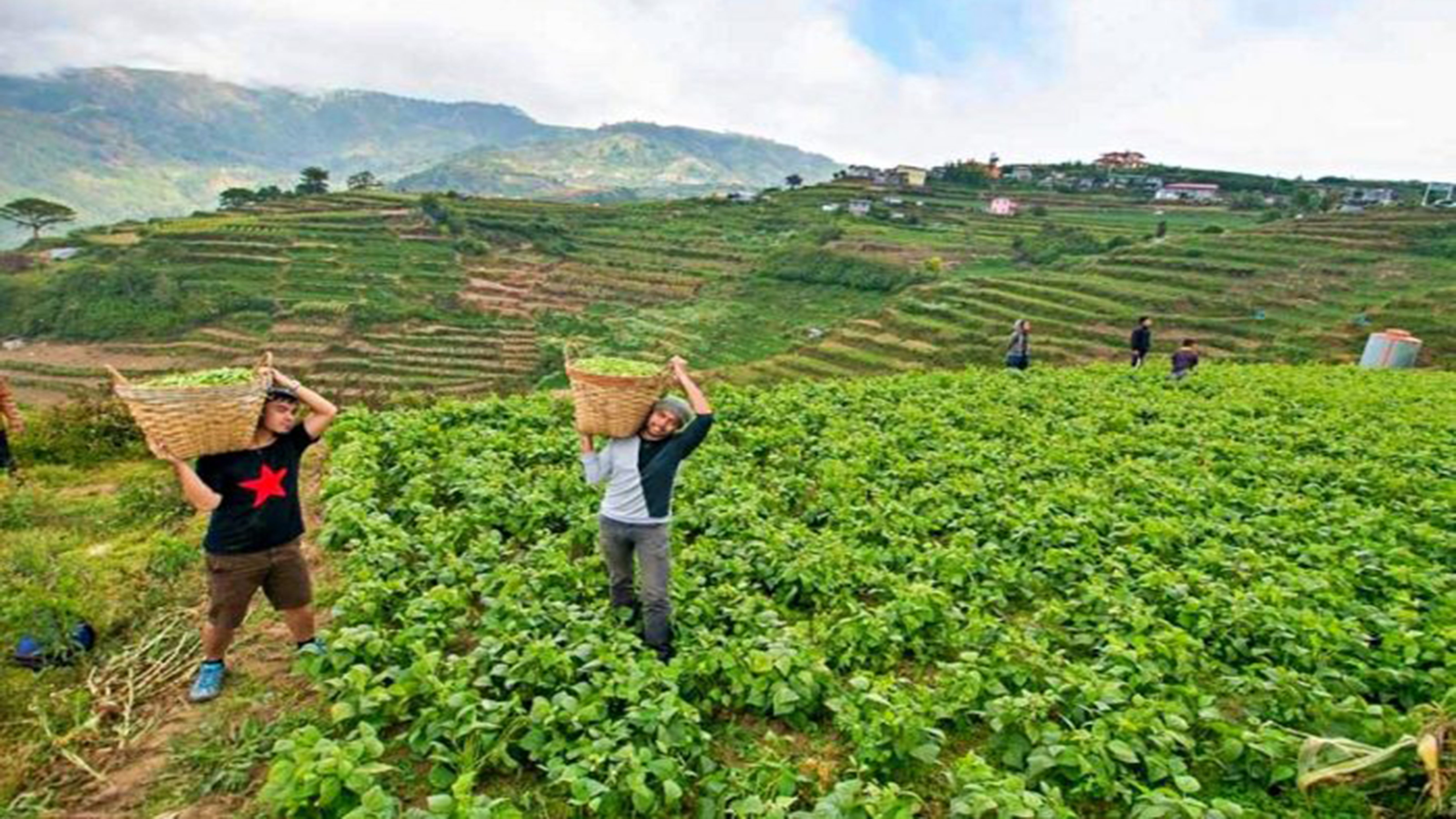 Benguet farmers decry DA’s half-hearted support for them photo Out of Town Blog Benguet farmers decry DA’s half-hearted support for them photo Out of Town Blog