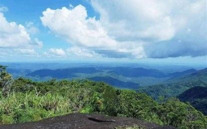 Windmill project meets opposition in Samar