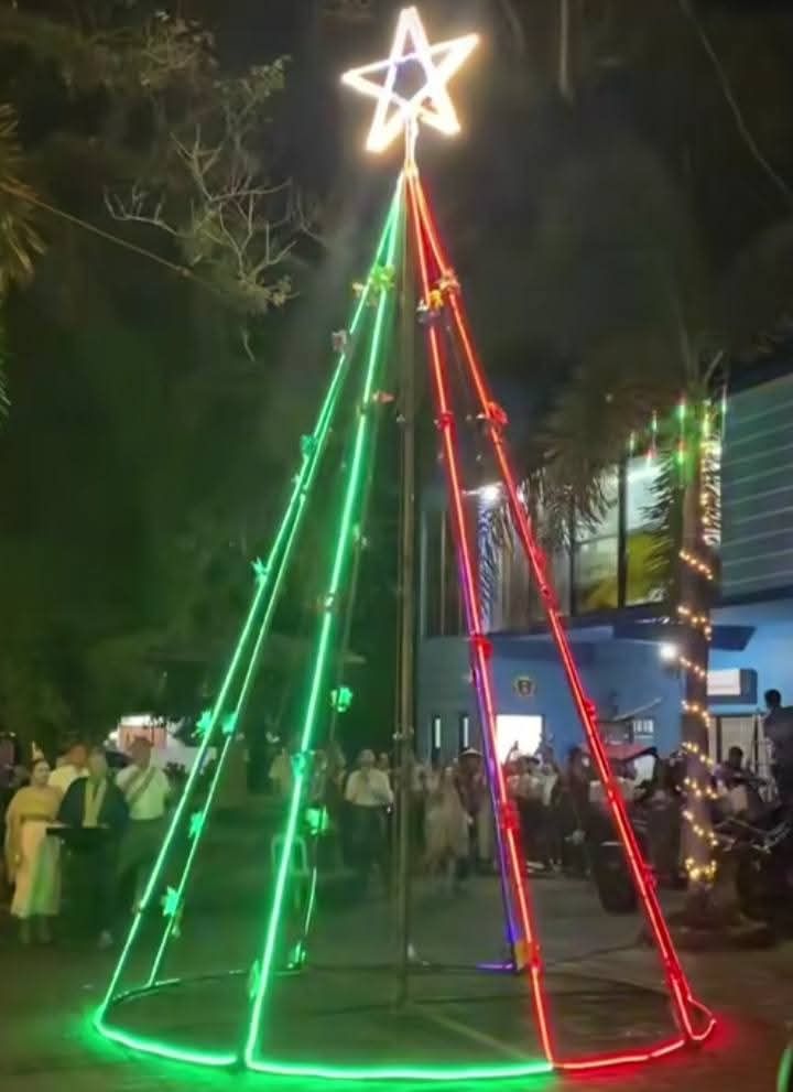 Controversial Christmas Tree of Capoocan, Leyte Sparks Online Backlash