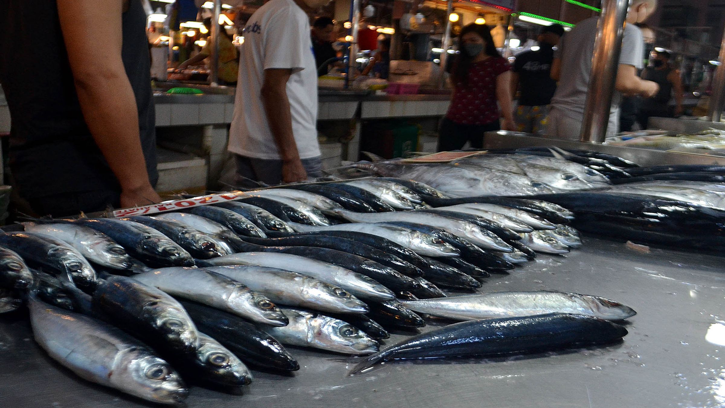 PROHIBITIVE FISH PRICES photo Mike Taboy