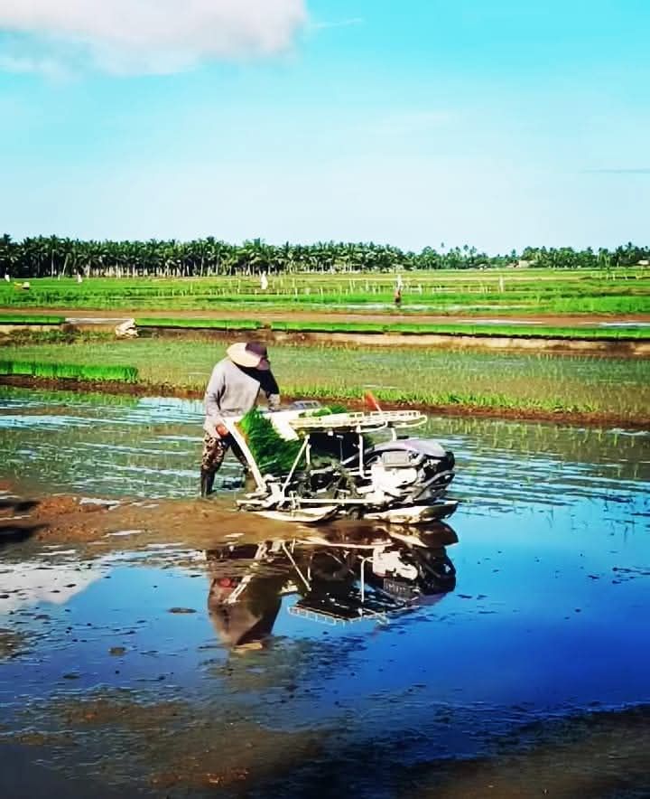 Modern Technology in Agriculture: Transplanting Machines Now Used in Barangay Patong, Calbiga, Samar