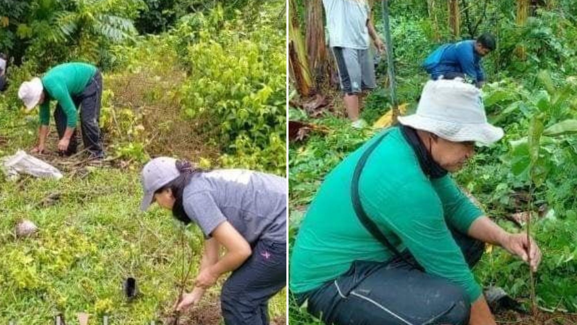 DENR, nagsagawa ng tree planting sa Mulanay DENR, nagsagawa ng tree planting sa Mulanay
