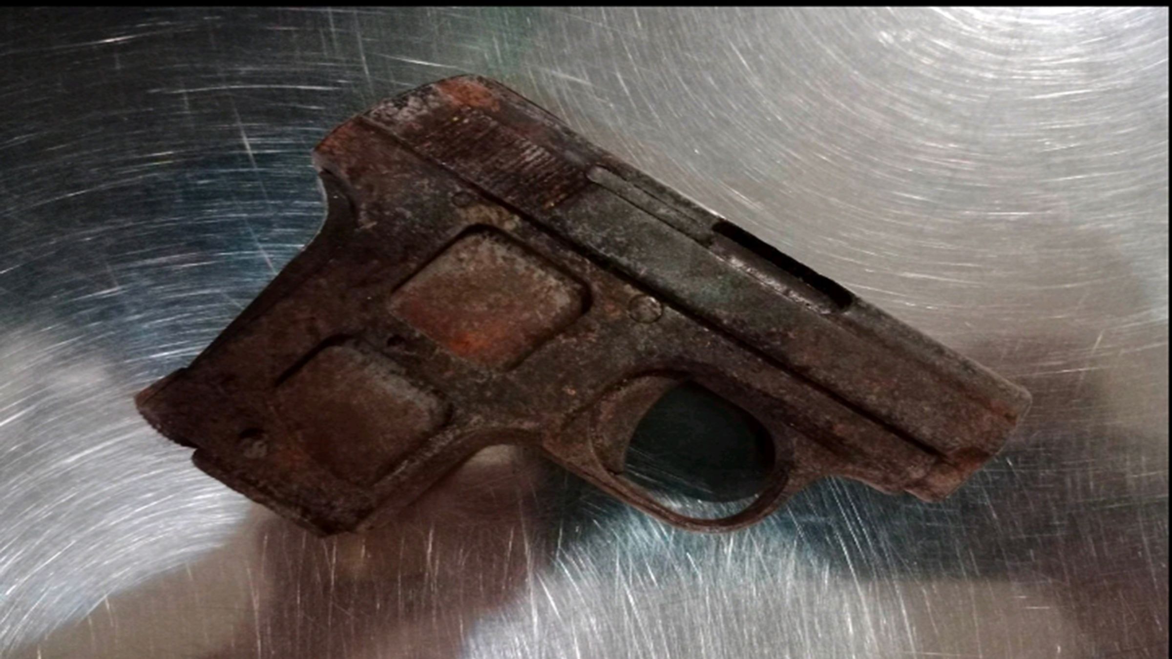 Passenger nabbed over gun