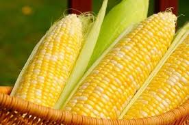 PH to import more corn