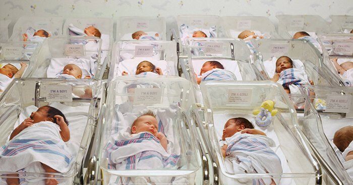 Lockdown Babies