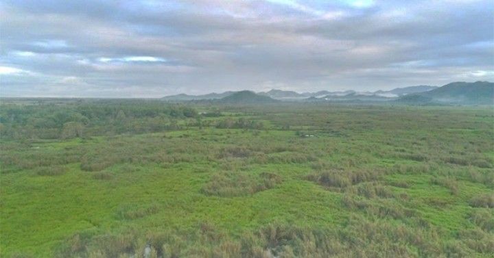 Push to conserve Leyte’s peatlands