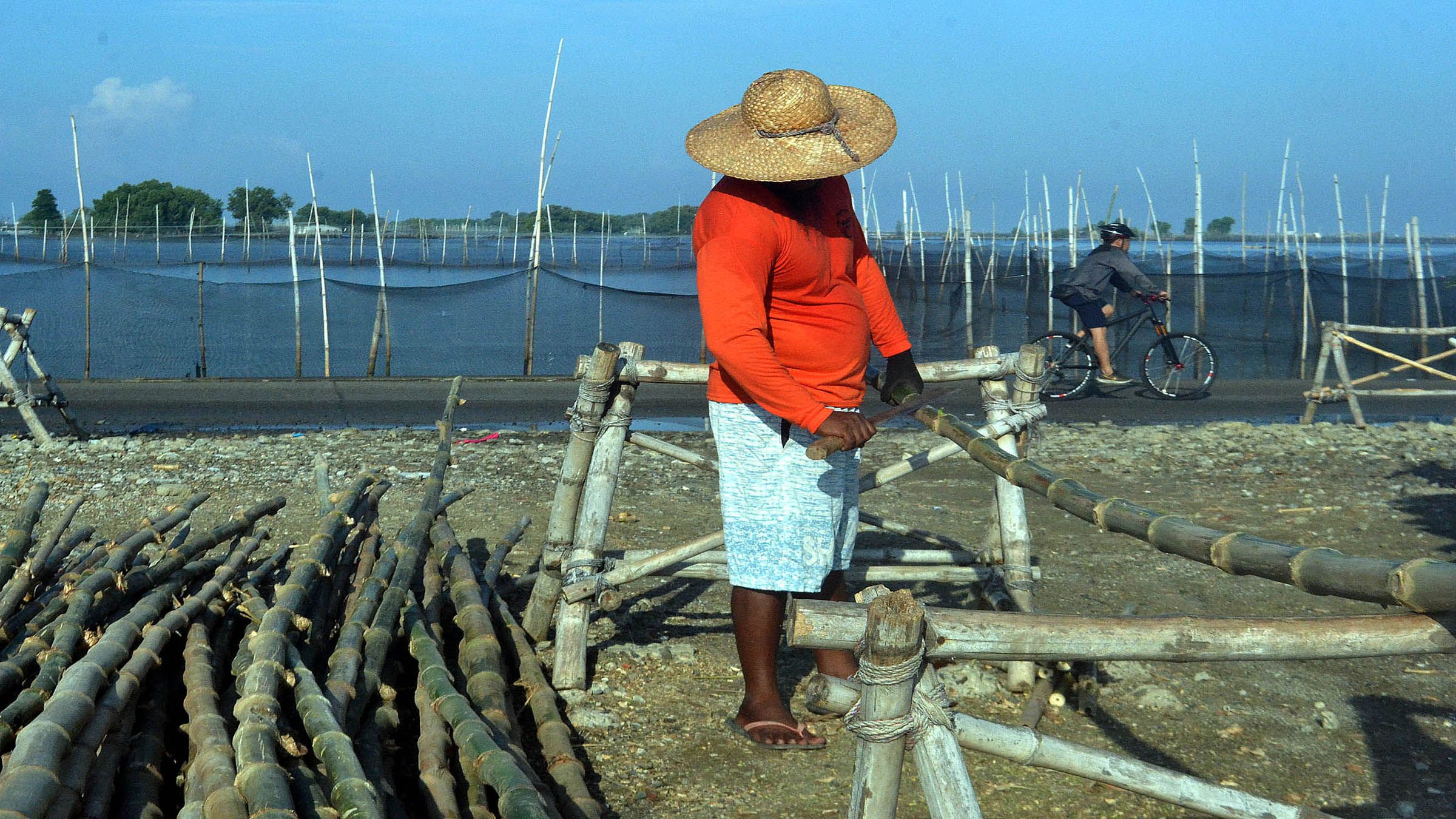 BAMBOO POLES FOR FISHPONDS IN BULACAN Mike Taboy