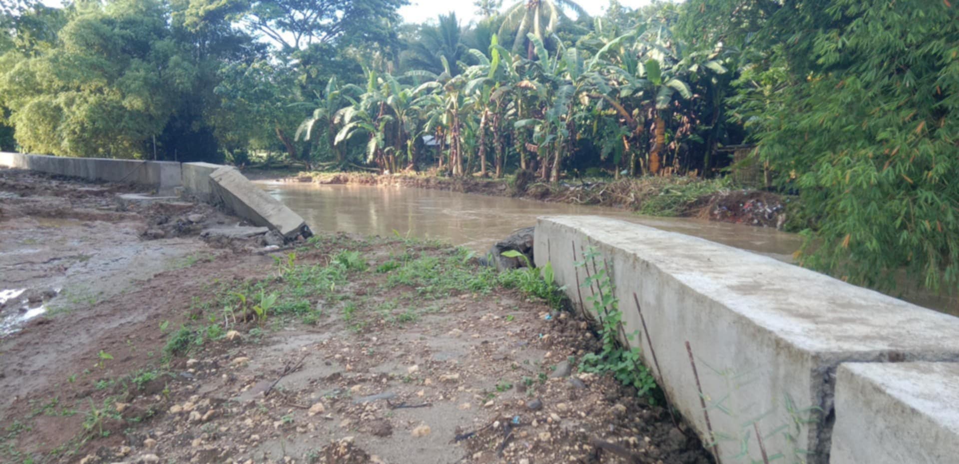 Gomez vs Tacoy: Fingers Pointed Over Collapsed Flood Control Project