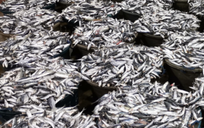 Fish production in EV slumps